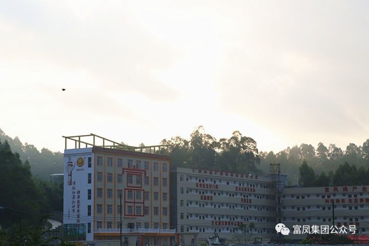 广西草莓视频下载网址农牧集团