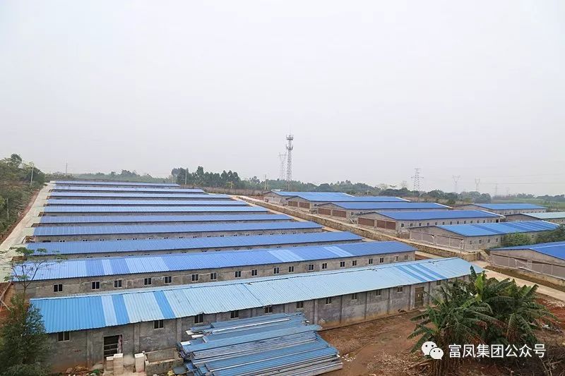 广西草莓视频下载网址农牧集团