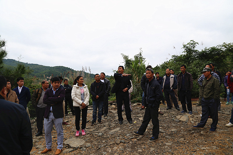 广西草莓视频下载网址农牧集团