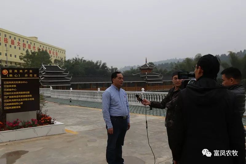 广西草莓视频下载网址农牧集团