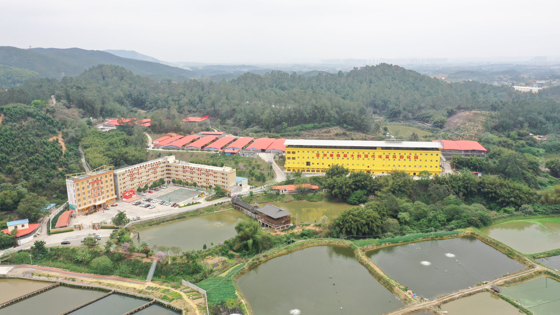 草莓视频下载网址