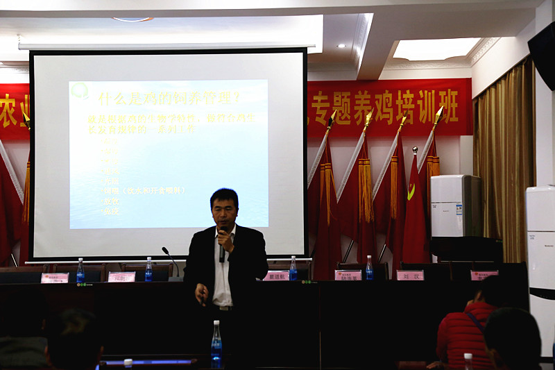 广西草莓视频下载网址农牧集团