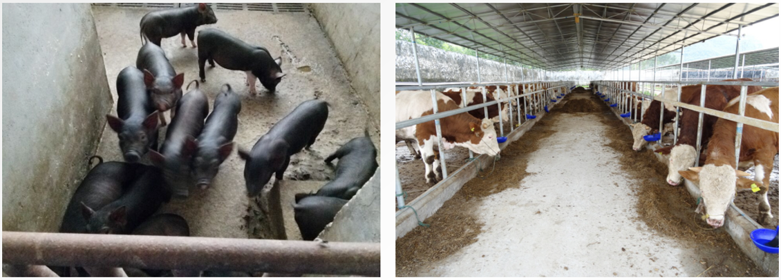 广西万乡河农业集团有限公司 