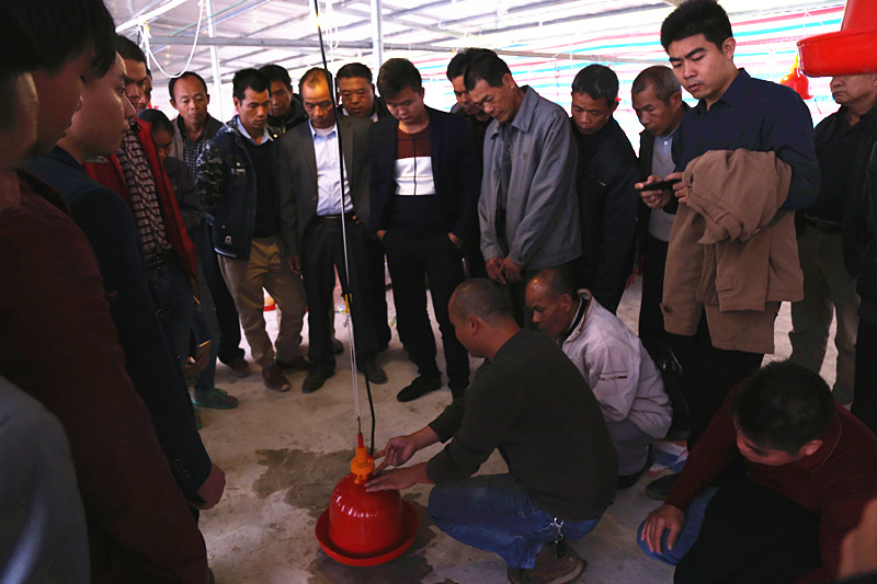 广西草莓视频下载网址农牧集团