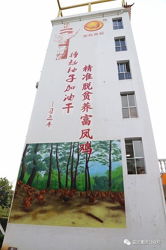 广西草莓视频下载网址农牧集团