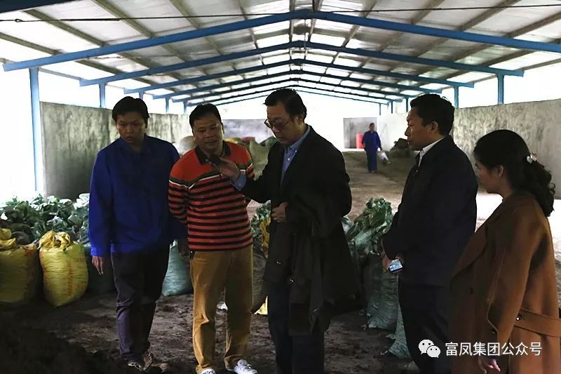 广西草莓视频下载网址农牧集团