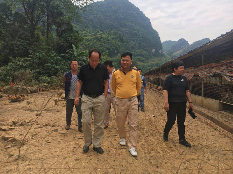 广西草莓视频下载网址农牧集团