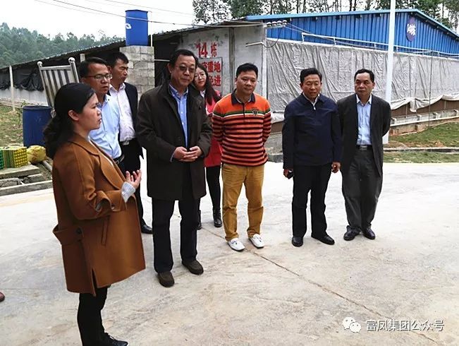 广西草莓视频下载网址农牧集团