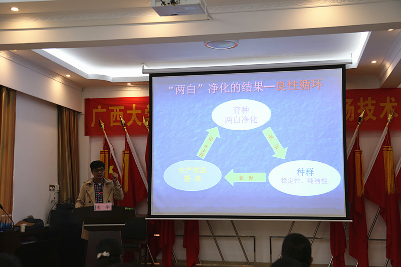 广西草莓视频下载网址农牧集团