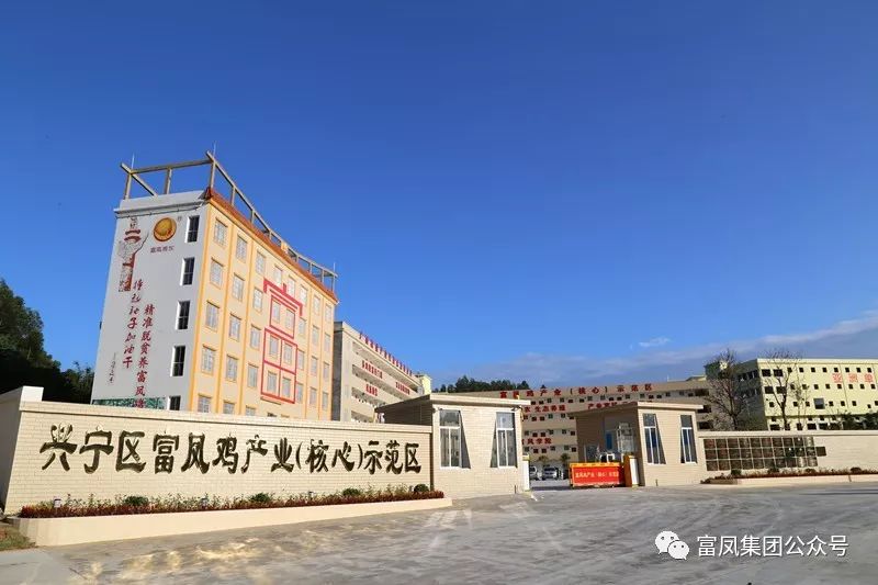 广西草莓视频下载网址农牧集团